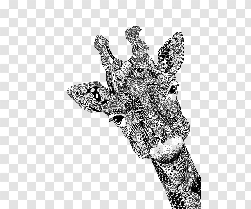 Deer Giraffe Drawing Animal Sketch - Organism - Black And White Line Art Transparent PNG