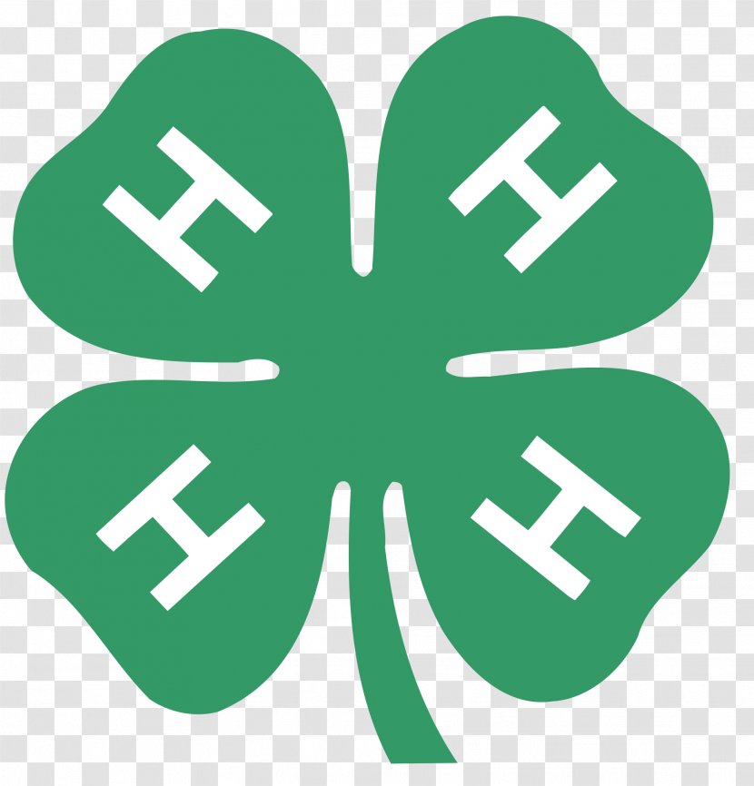 4-H Organization United States Cooperative State Research, Education, And Extension Service Youth - Leadership - Clover Transparent PNG