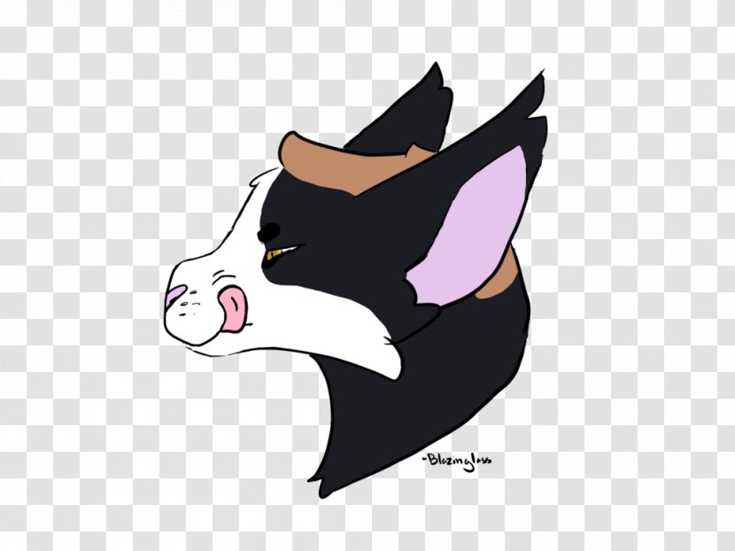 Whiskers Cat Bat Canidae Dog - Cartoon Transparent PNG