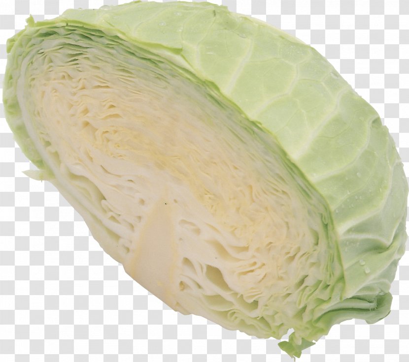 Cabbage Image - Leaf Vegetable - Napa Transparent PNG