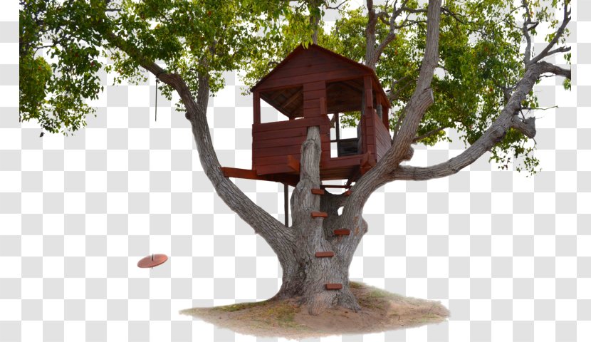 Tree House Building Transparent PNG