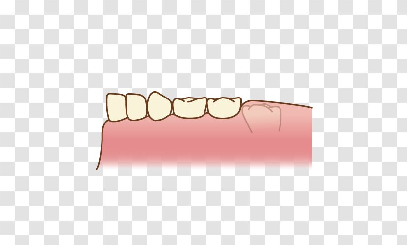 Dentistry Molar Poster Human Mouth - Post Cards Transparent PNG