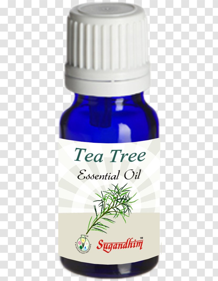 Distillation Lavender Oil Essential - Frankincense - Tea Transparent PNG