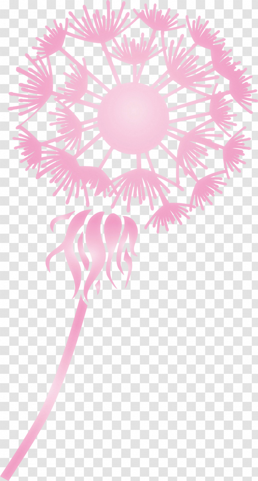 Dandelion Transparent PNG