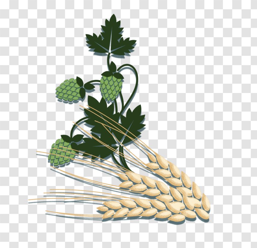 Wheat Beer Leaf Vegetable - Natural Foods - Green Strawberry Plant With Ornaments Transparent PNG