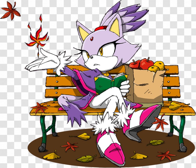 Blaze The Cat Amy Rose Sonic Rush Adventure - Wiki Transparent PNG