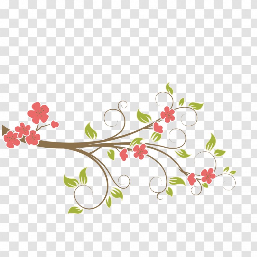 Vector Plant Vine Branches - Flower Arranging - Photography Transparent PNG