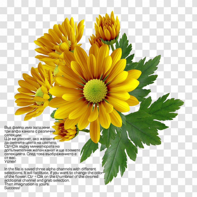 Chrysanthemum Clip Art - Yellow - Transparent Image Transparent PNG