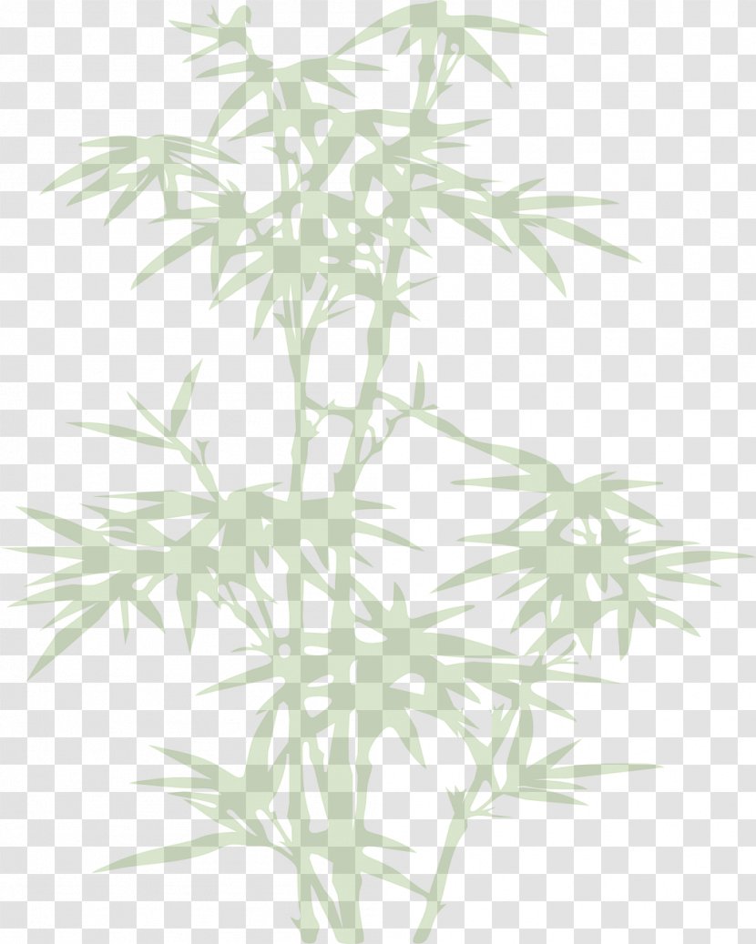 Joëlle COUARD Bamboo Plant - Tree Transparent PNG