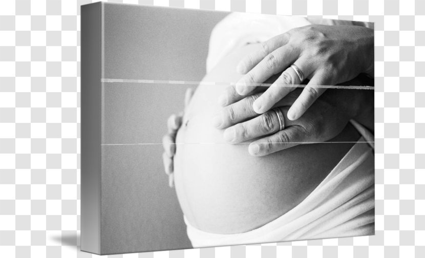 Still Life Photography Finger - Silhouette - Pregnant Belly Transparent PNG