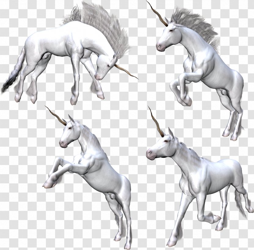 Unicorn Fantasy Pegasus Rusalka Clip Art - Fictional Character Transparent PNG