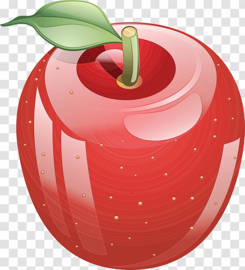 Watercolor Rose - Family - Drupe Malus Transparent PNG