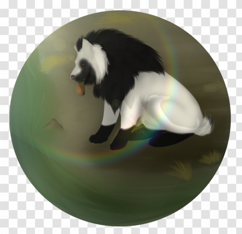 Snout - Bear - Flotsam Transparent PNG