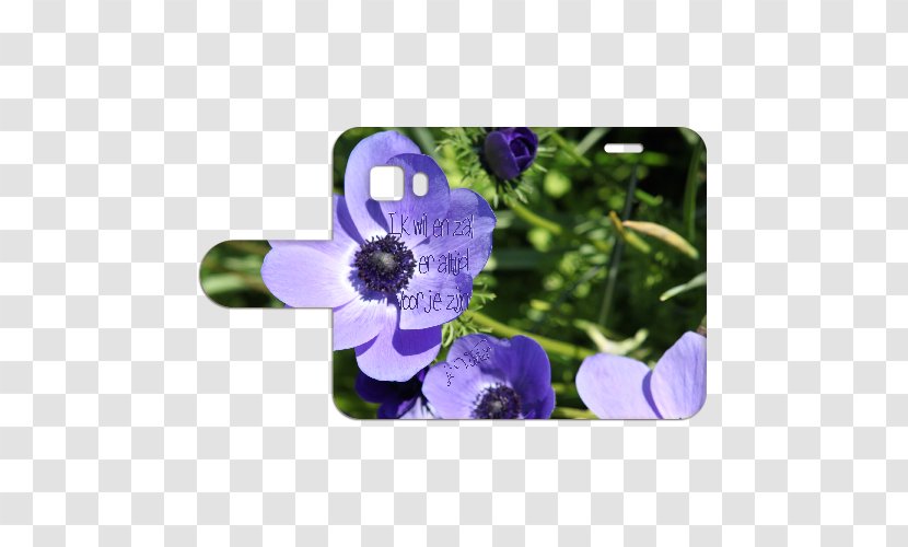 Anemone Petal Wildflower - Samsung Galaxy Young 2 Transparent PNG