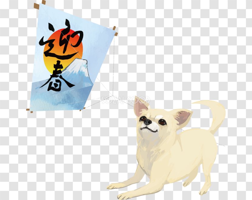 Pomeranian Chihuahua Puppy Dog Breed - Love Transparent PNG