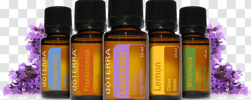 Essential Oil Young Living DoTerra Aromatherapy Transparent PNG