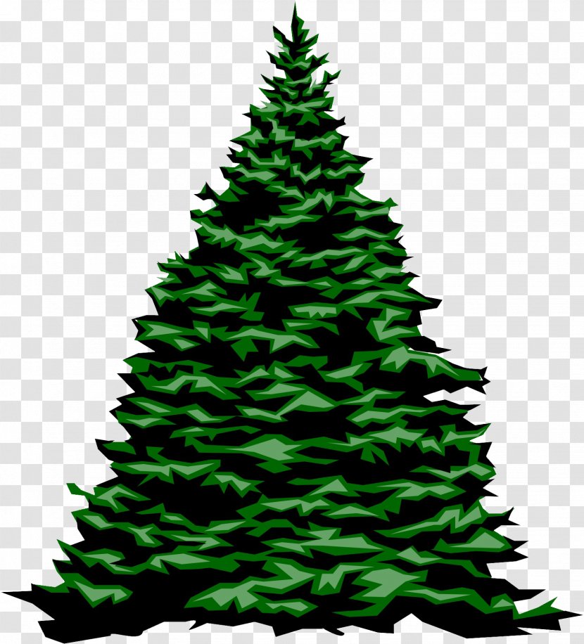 Christmas Tree Fir Evergreen - Conifer - Larch Transparent PNG