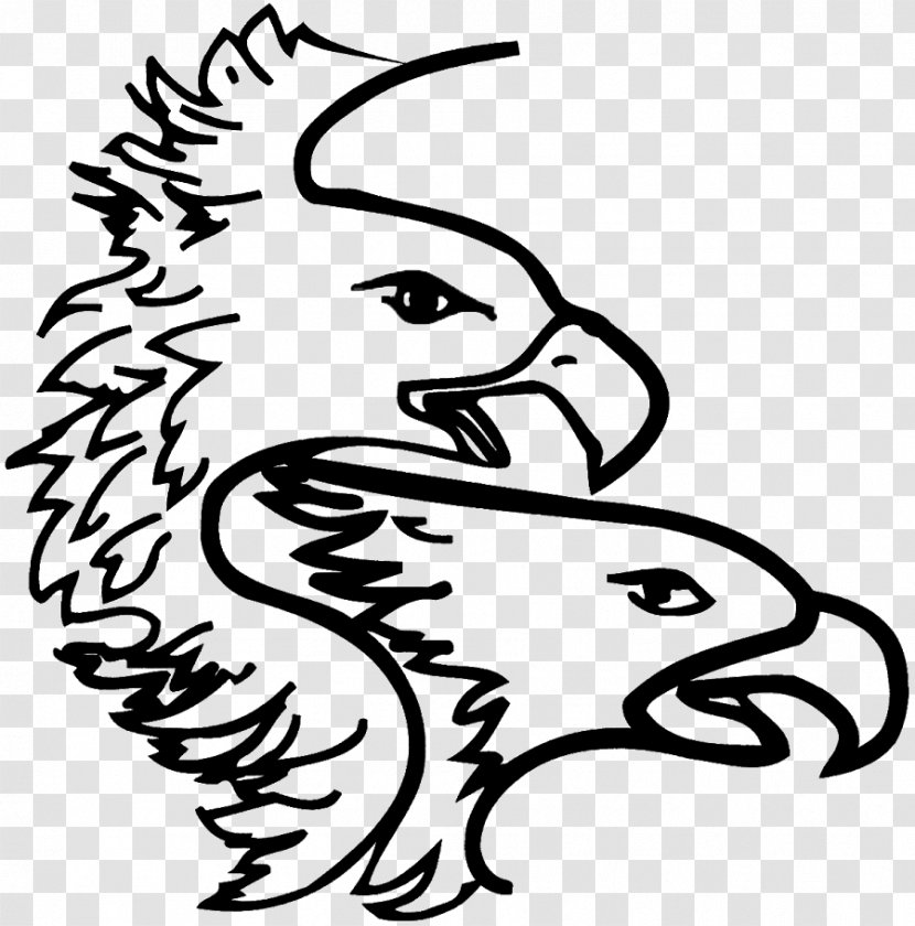 Clip Art Drawing Beak Illustration - Eagle Transparent PNG