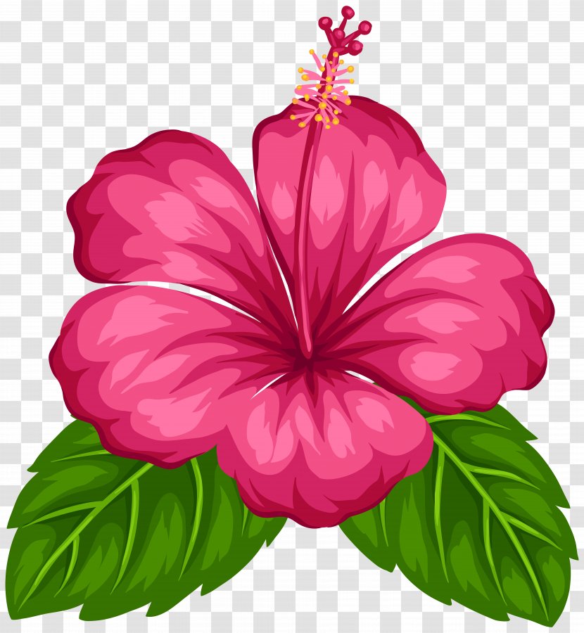 Good Morning Android Greeting - Love - Tropical Flower Transparent PNG