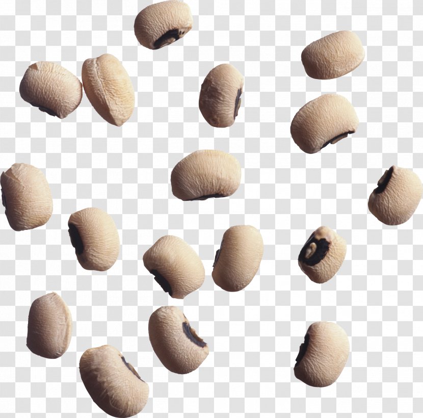 Pinto Bean Kidney Stone Food Pea - Common - Black Beans Transparent PNG