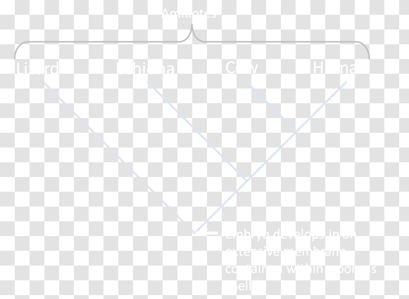 Brand Line Triangle - Area Transparent PNG