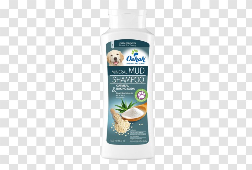 Lotion Argan Oil Coconut Water Moroccan Cuisine Shampoo Transparent PNG