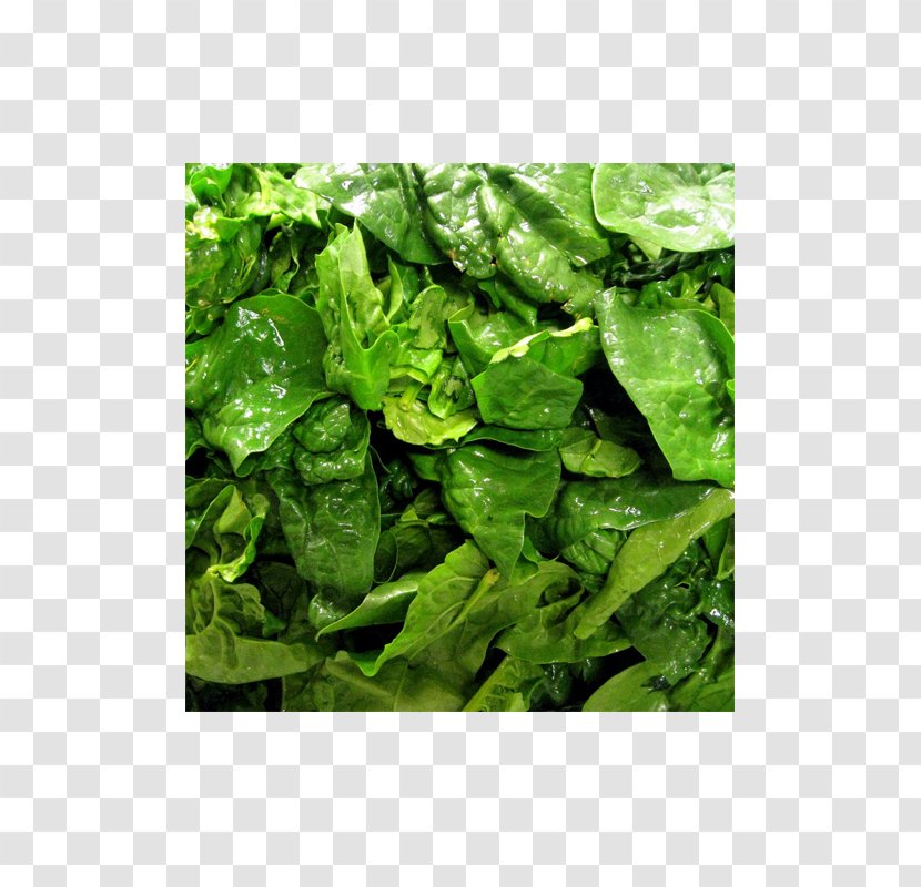 Malabar Spinach Romaine Lettuce Palak Paneer Chard - Vegetable Transparent PNG