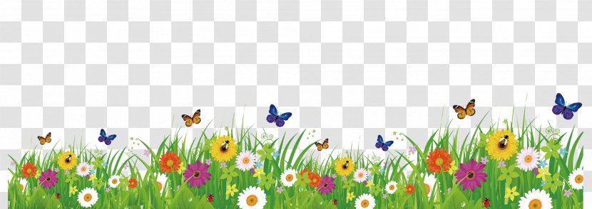 Wallpaper - Flowering Plant - Spring Grass Butterfly Transparent PNG