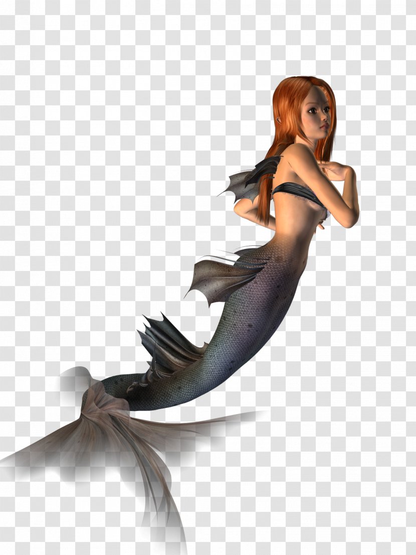 A Mermaid - Photoscape Transparent PNG