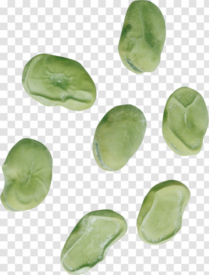 Common Bean Food - Silique - Black Beans Transparent PNG