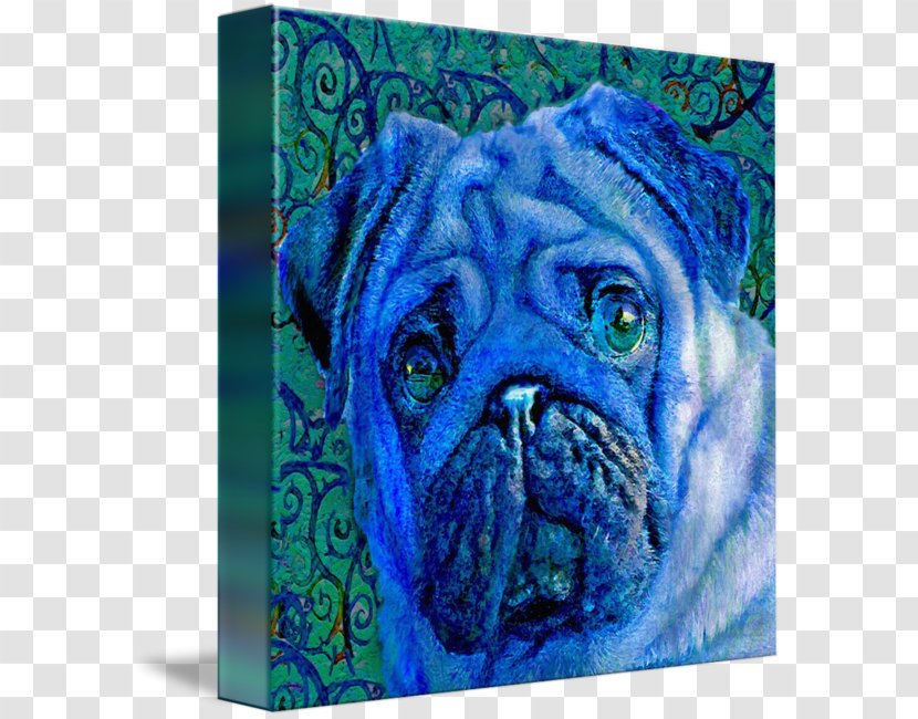 Pug Imagekind Canvas Dog Breed Art - Rose Family - Watercolor Transparent PNG