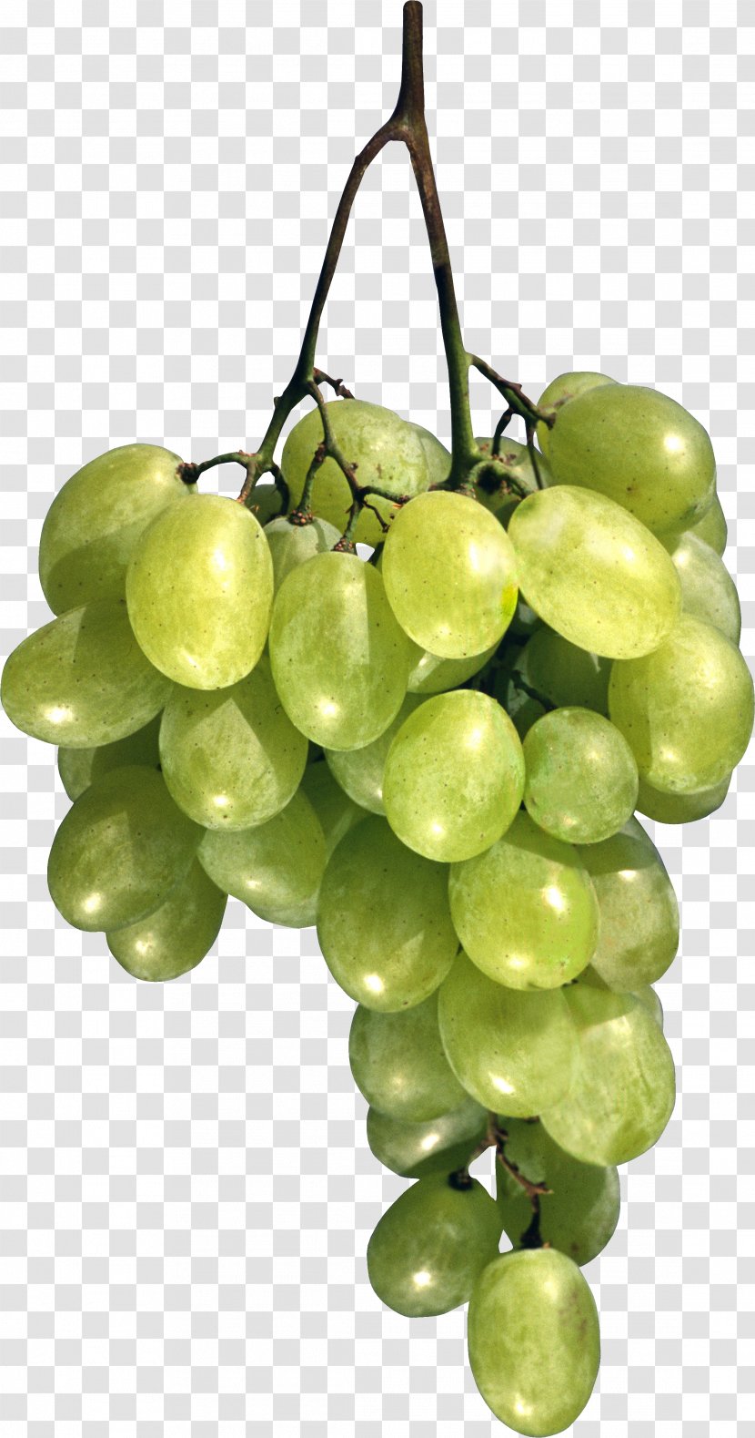 Grape Cafe LaFerme Restaurant Breakfast - Seedless Fruit - Green Image Transparent PNG