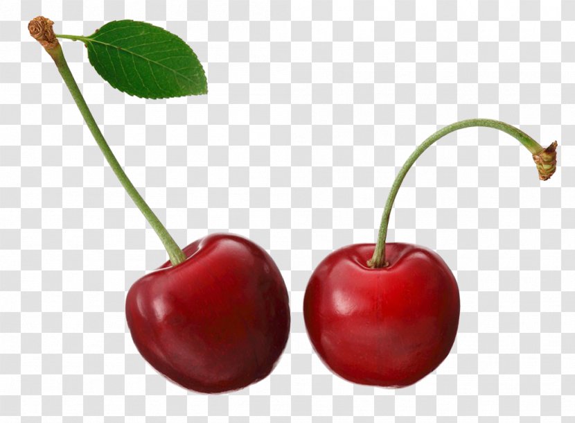 Barbados Cherry Fruit - Acerola Transparent PNG