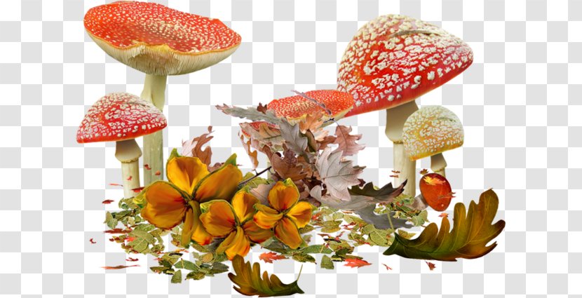Mushroom Autumn Clip Art - Medicinal Transparent PNG