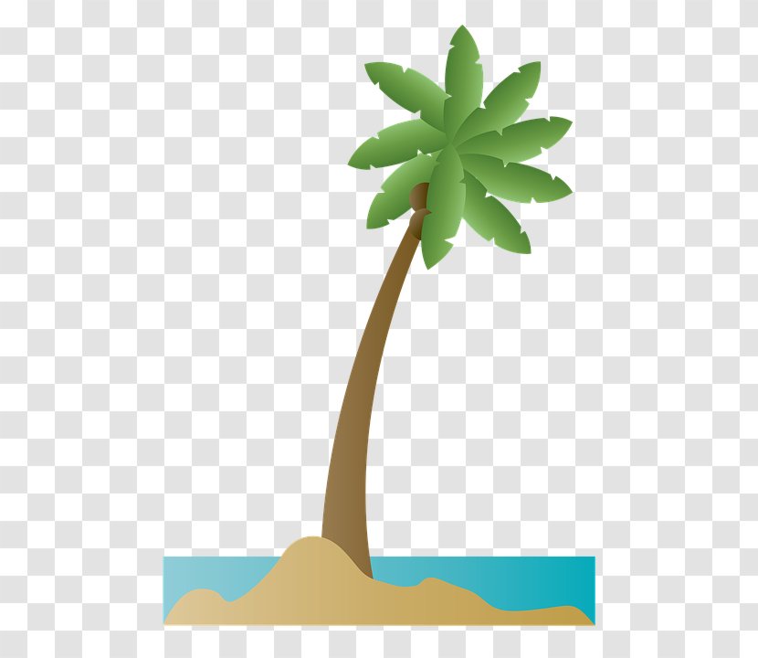 Palm Trees Clip Art Image - Plant Stem - Coconut Transparent PNG