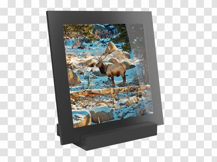 Picture Frames - Bohemian National Wind Transparent PNG