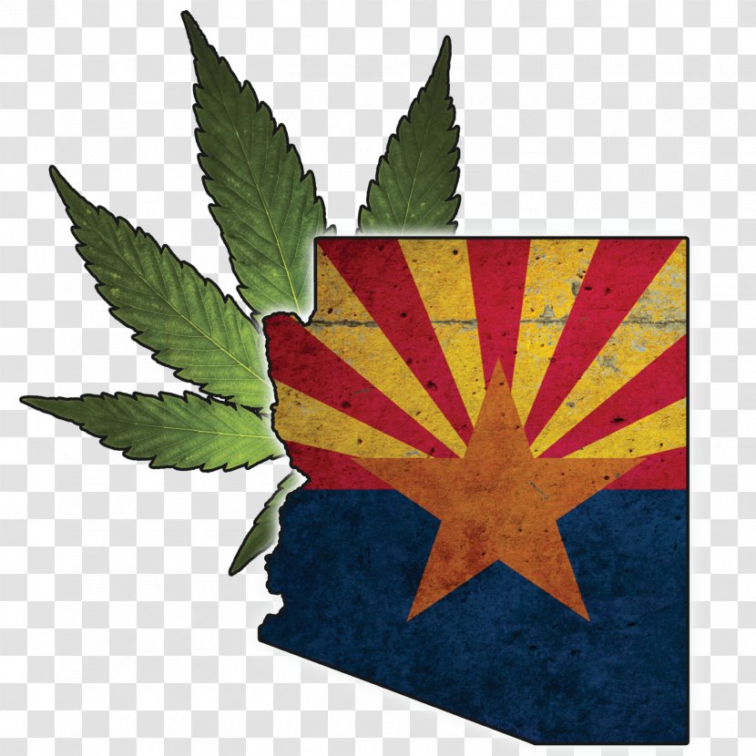 State Flag Arizona Department Of Education Child Safety Transparent PNG