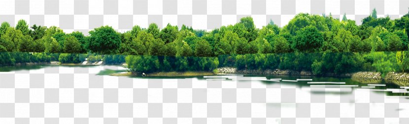 Download Tree Computer File - Landscape - Plant Transparent PNG