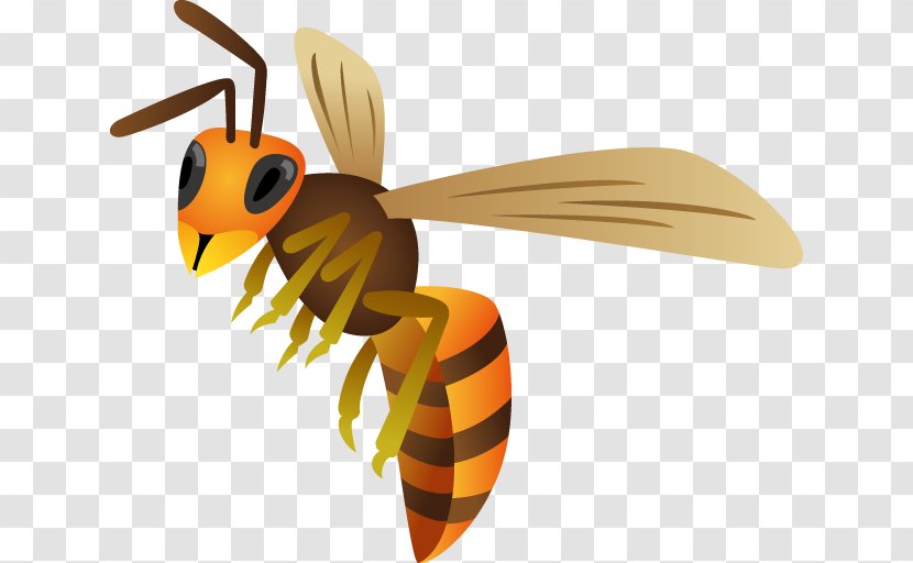 Honey Bee Hornet True Wasps - Pest Control Transparent PNG