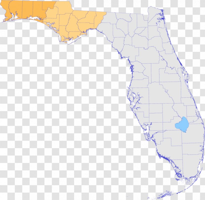 Florida Water Resources Ecoregion Map - Tuberculosis - Resource Transparent PNG