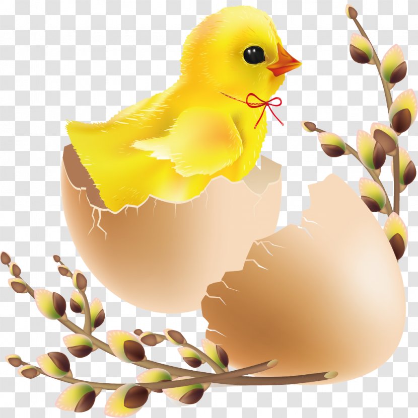 Hatching Easter Clip Art - Chick Transparent PNG