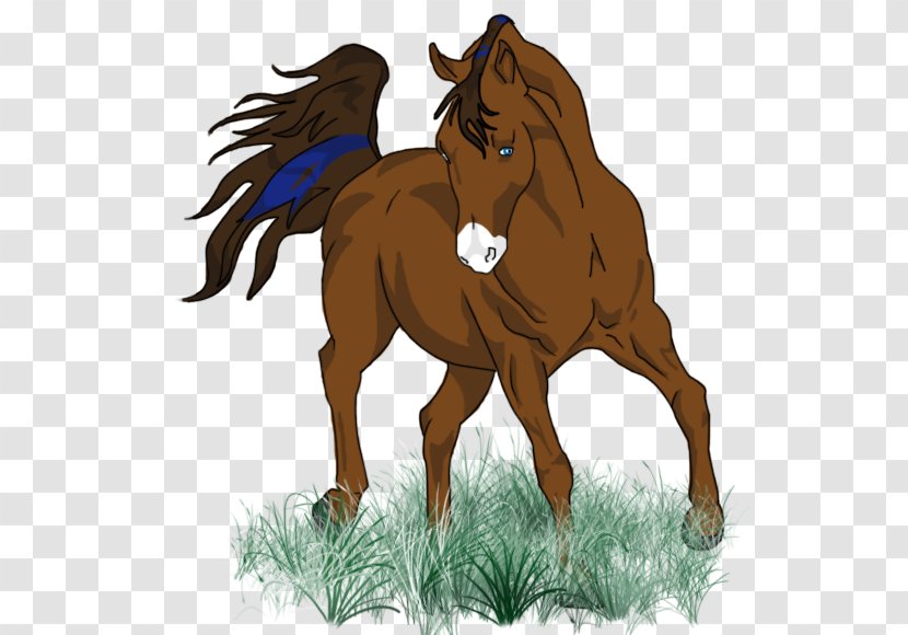 Pony Mare Mustang Foal Stallion - Horse Transparent PNG