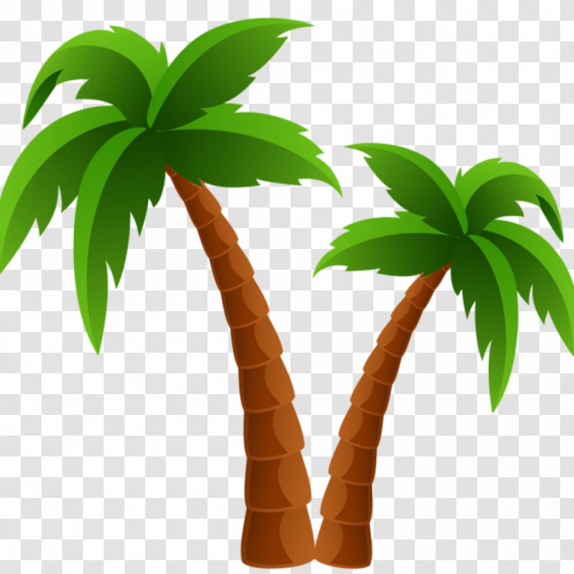 Clip Art Palm Trees Image Transparency - Plant - Tree Transparent PNG