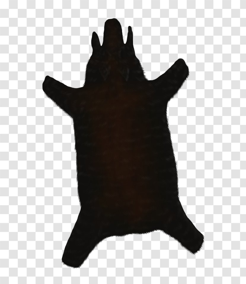 Animal Snout Fur Carnivora - Boar Transparent PNG