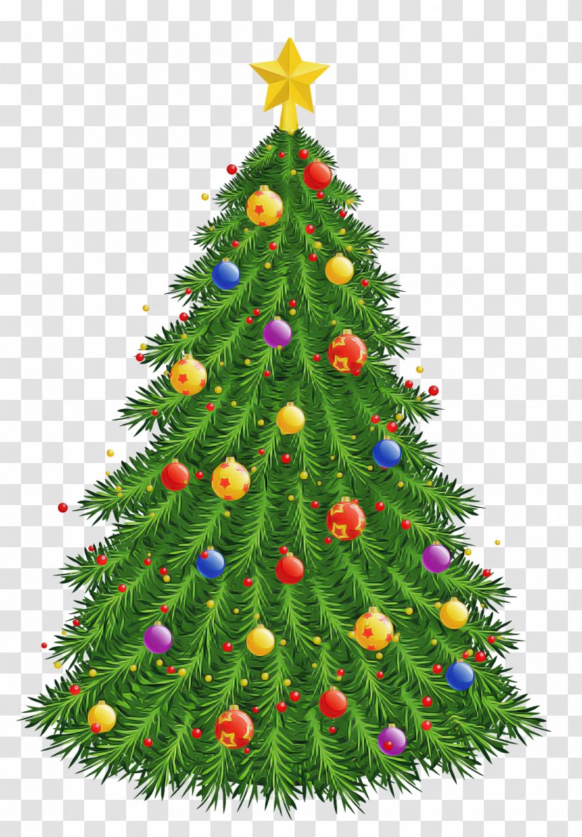 Christmas Tree - Pine - Spruce Transparent PNG
