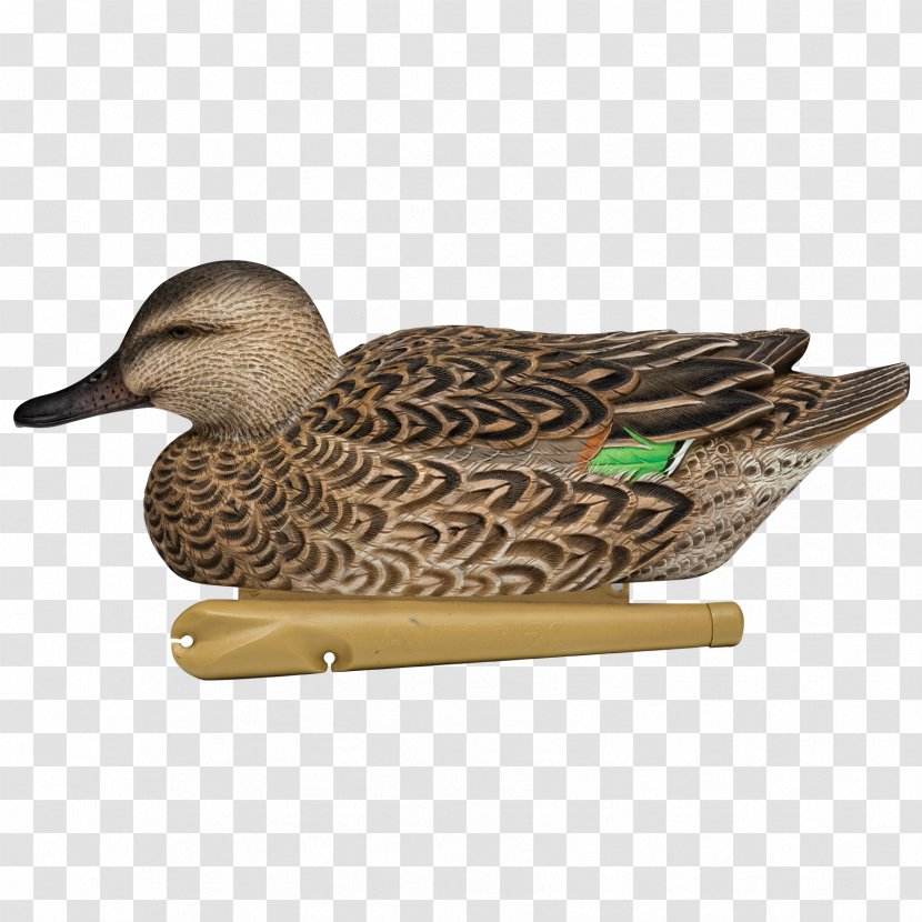 Mallard Duck Goose Decoy Eurasian Teal Transparent PNG