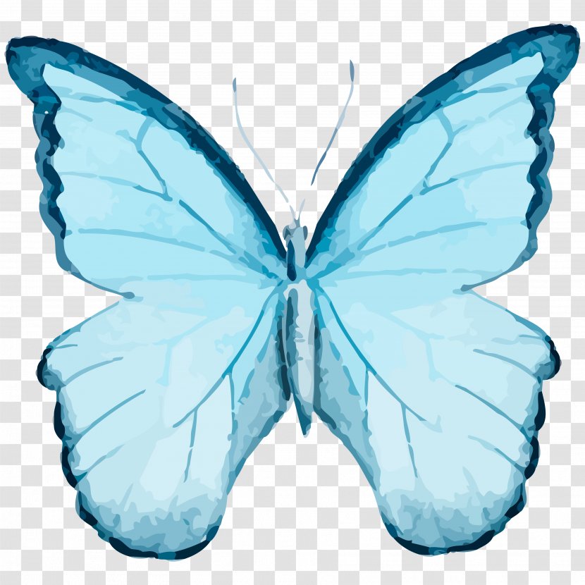 Butterfly Clip Art Vector Graphics Image Illustration - Wing Transparent PNG