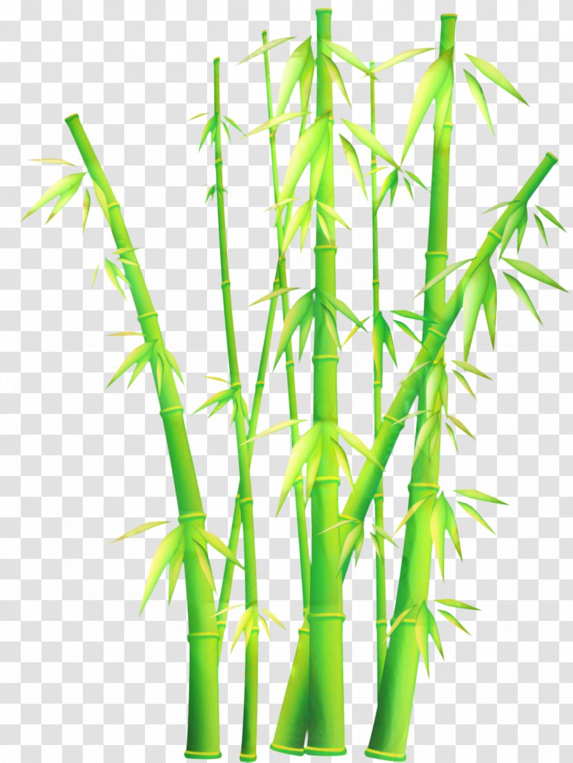 Bamboo Cartoon - Plant Stem - Elymus Repens Grass Transparent PNG