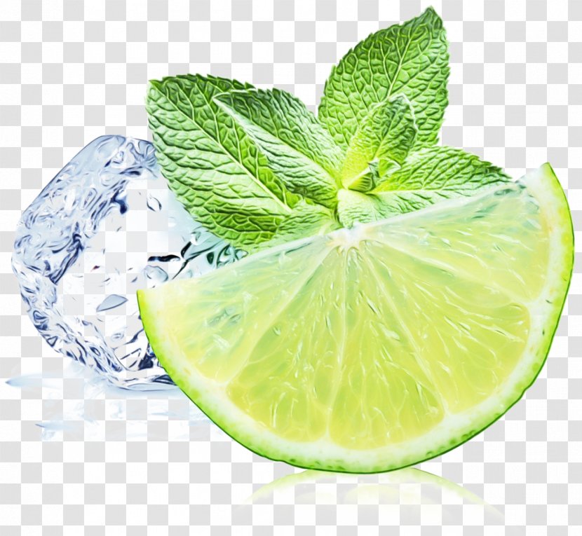 Mint Leaf - Lemonlime - Fruit Transparent PNG