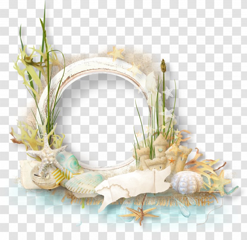 Picture Frame Clip Art - Decorative Arts - Conch Flowers Ring Transparent PNG
